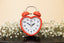 Understanding the Ovulation Window: Your Guide to Fertility Timing