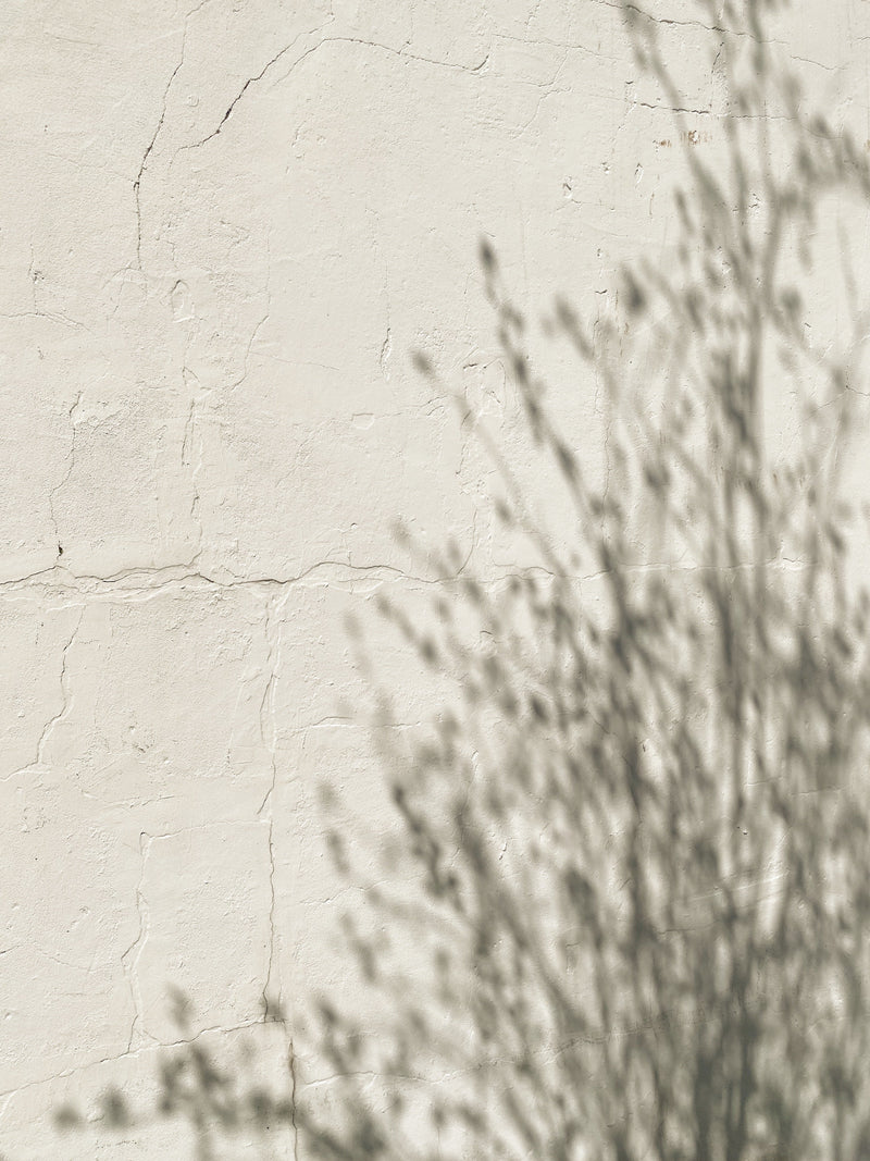 What Types of Breast Pads Work Best for New Nursing Mothers? A Complete Comparison Guide