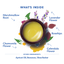 Belly Salve